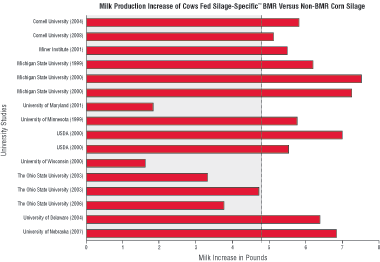 Milk Production Increase of Cows Fed BMR Versus Non-BMR Corn Silage